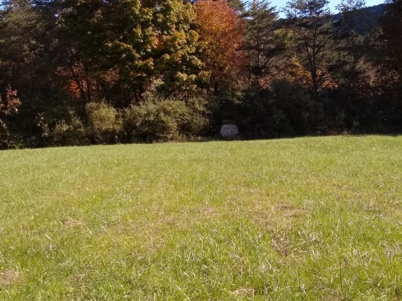 IMG_20201001_155831342.jpg