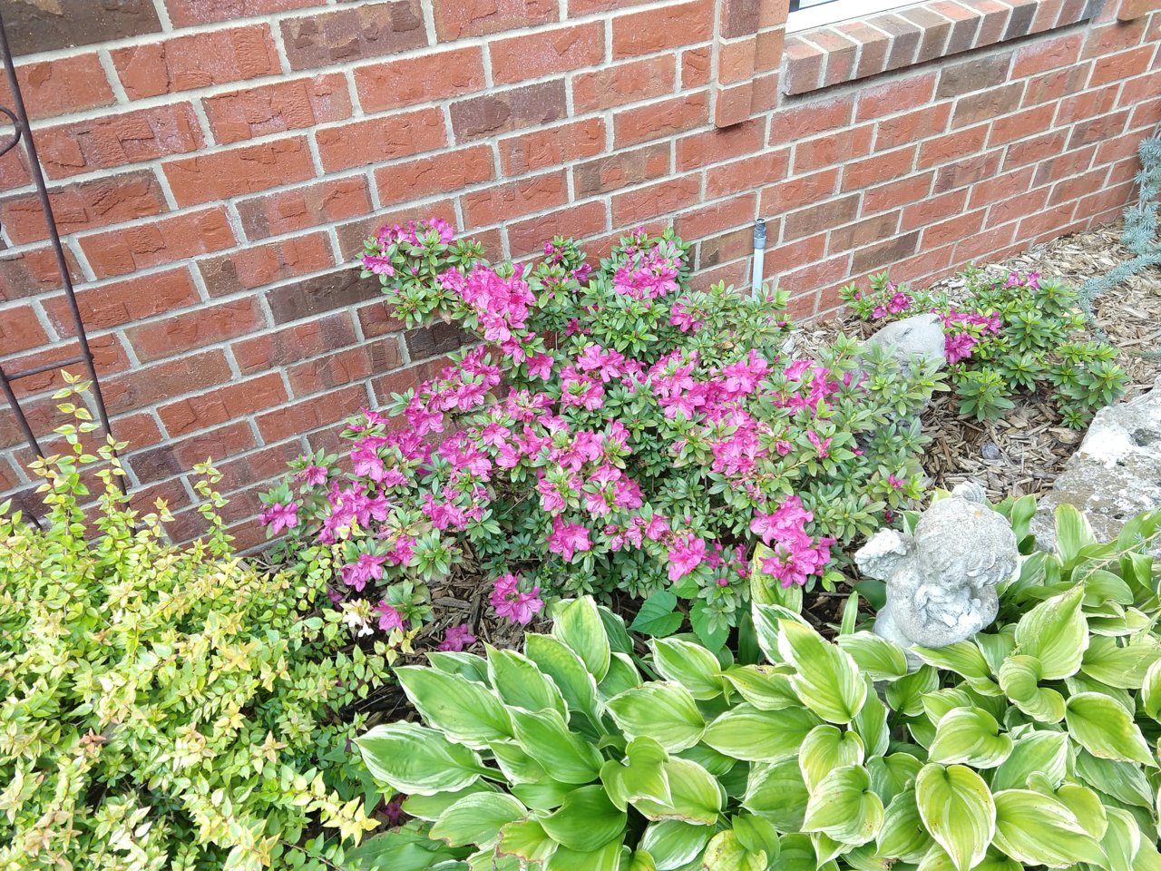 IMG_20201003_103219881.jpg