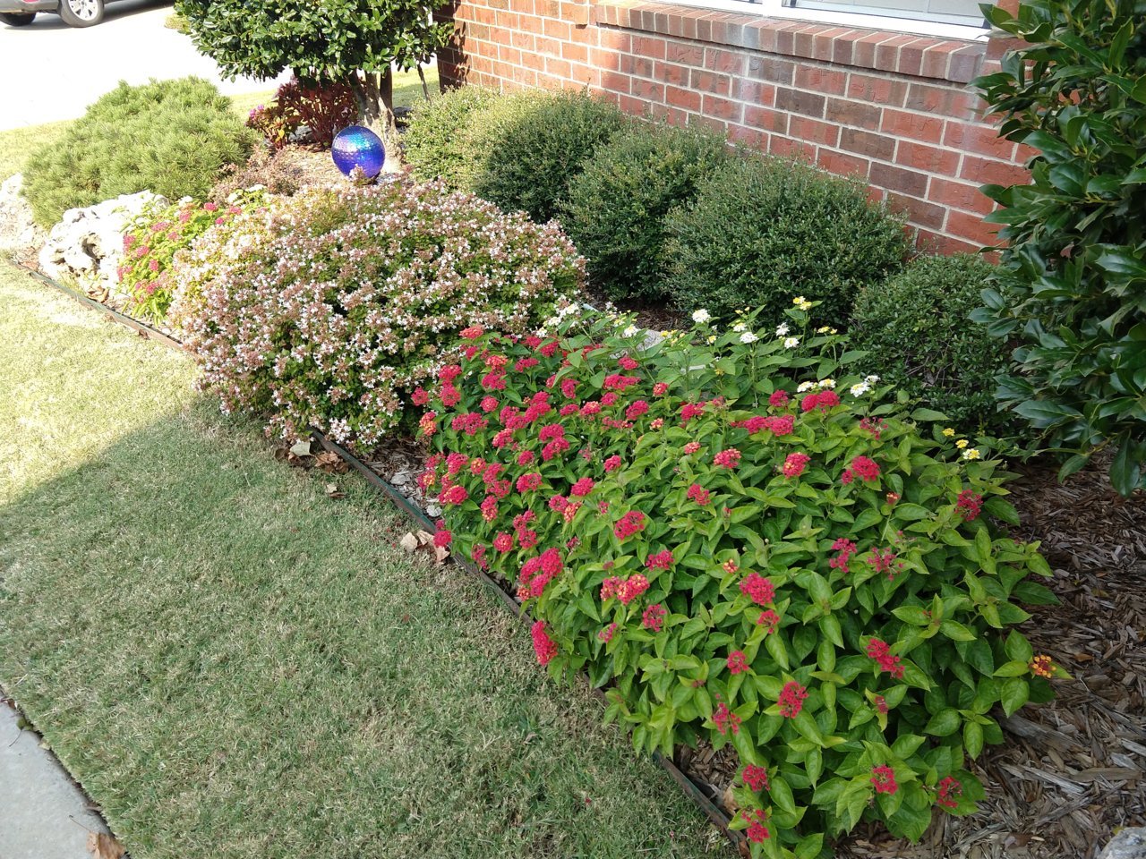 IMG_20201003_103318318.jpg