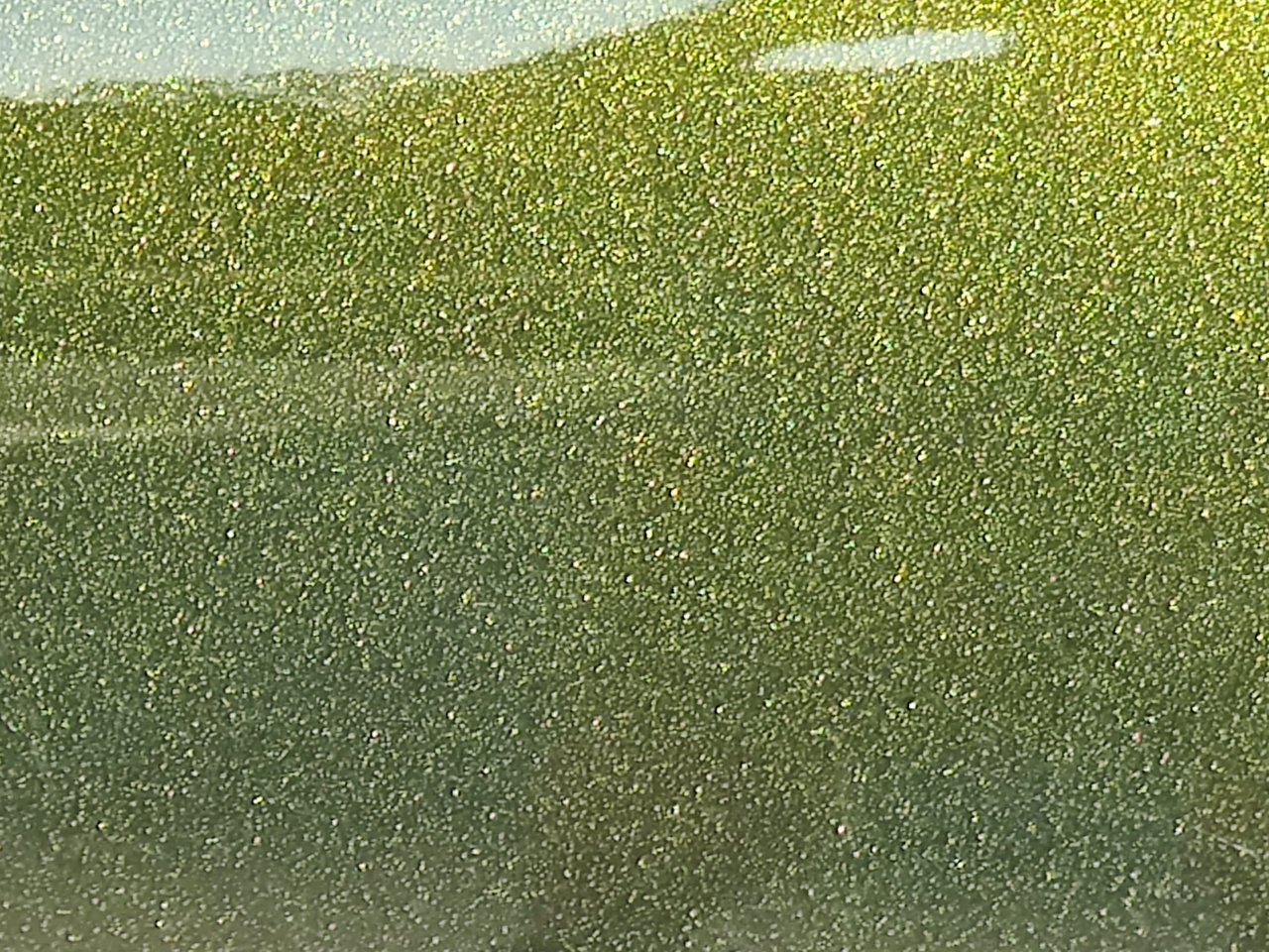 IMG_20201004_173359.jpg