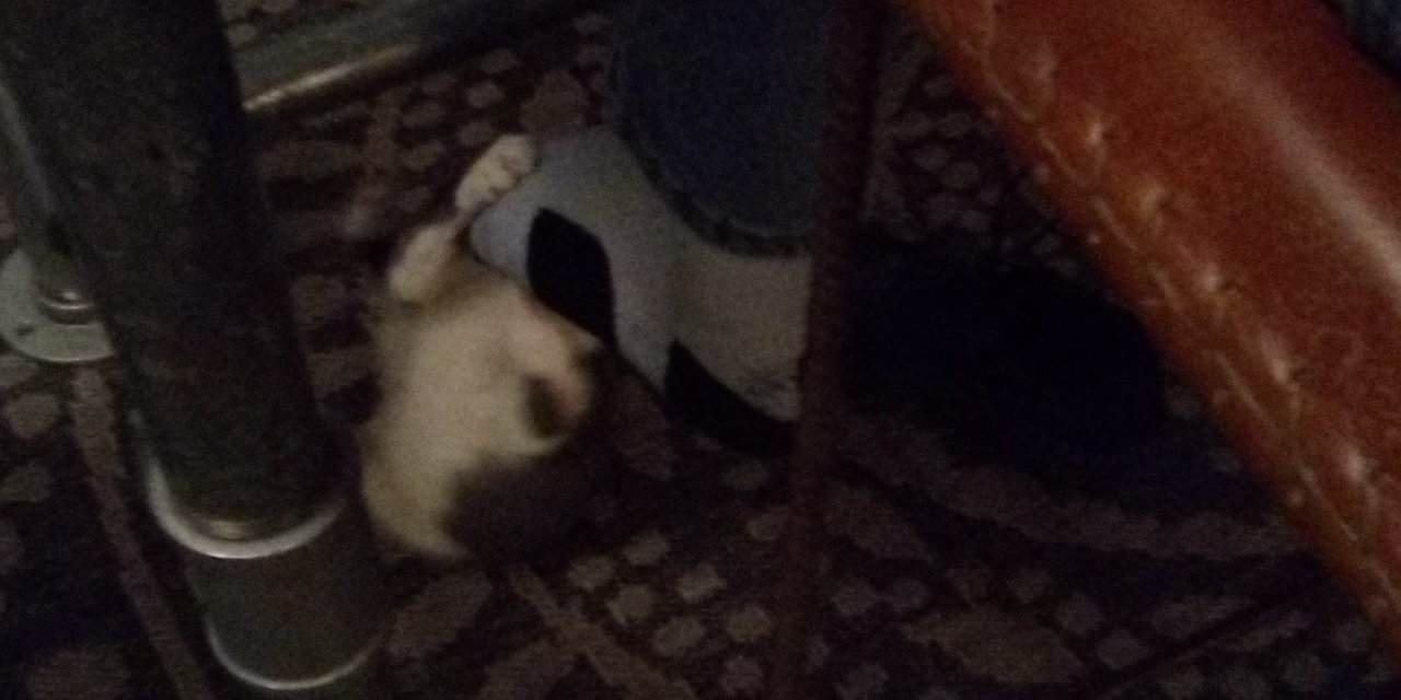 IMG_20201009_002108.jpg