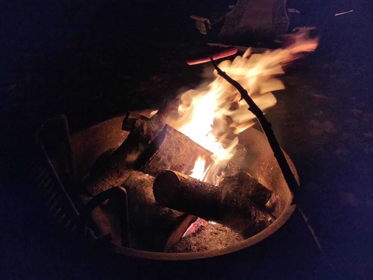 IMG_20201010_054714.jpg