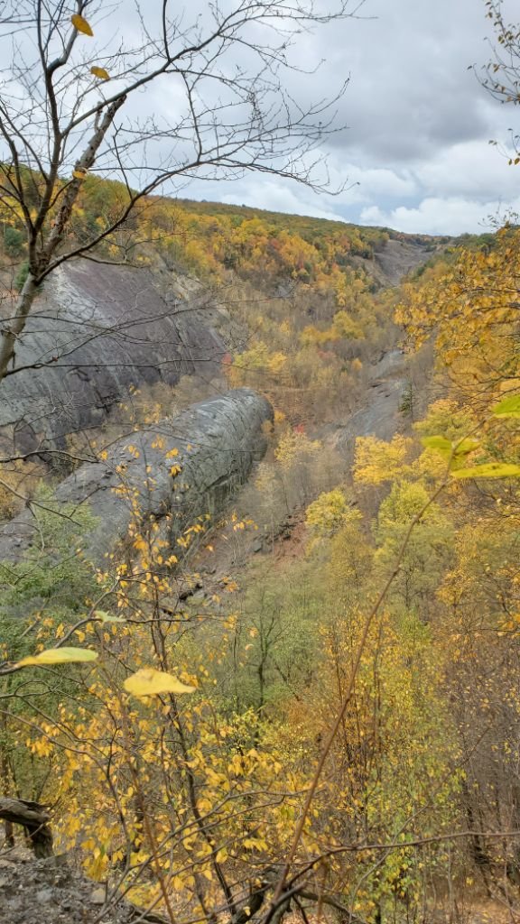 IMG_20201016_1532.jpg