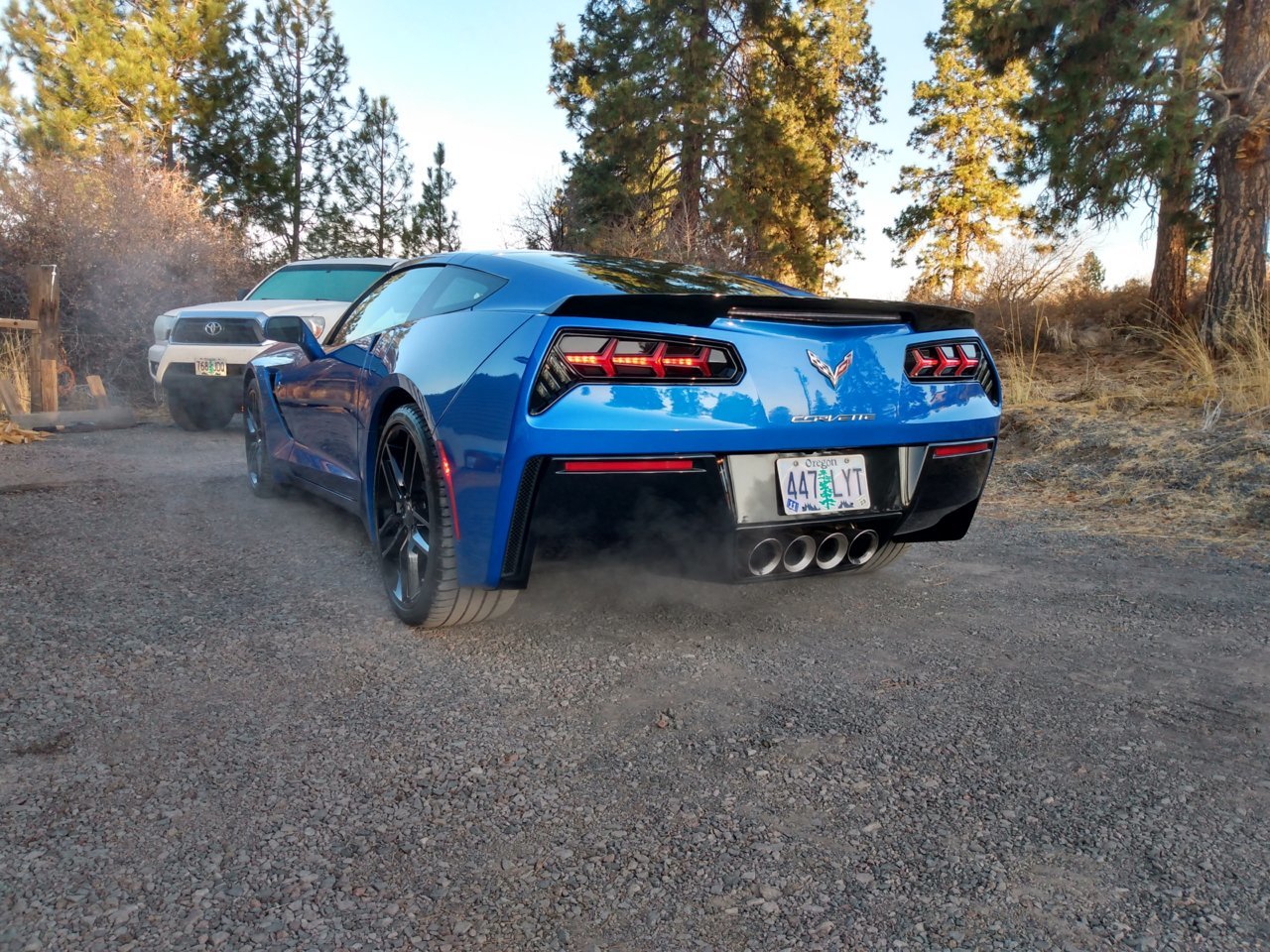 IMG_20201105_074406723_HDR.jpg