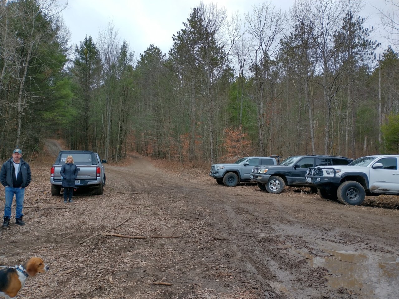 IMG_20201121_105301724_HDR.jpg