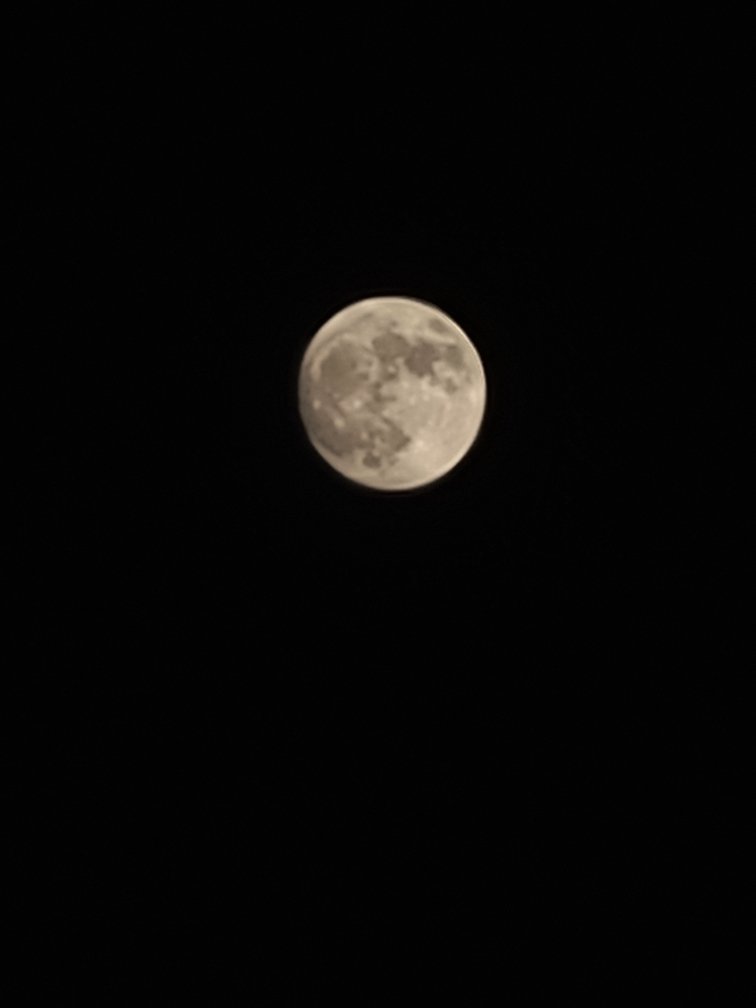 IMG_20201128_174643.jpg