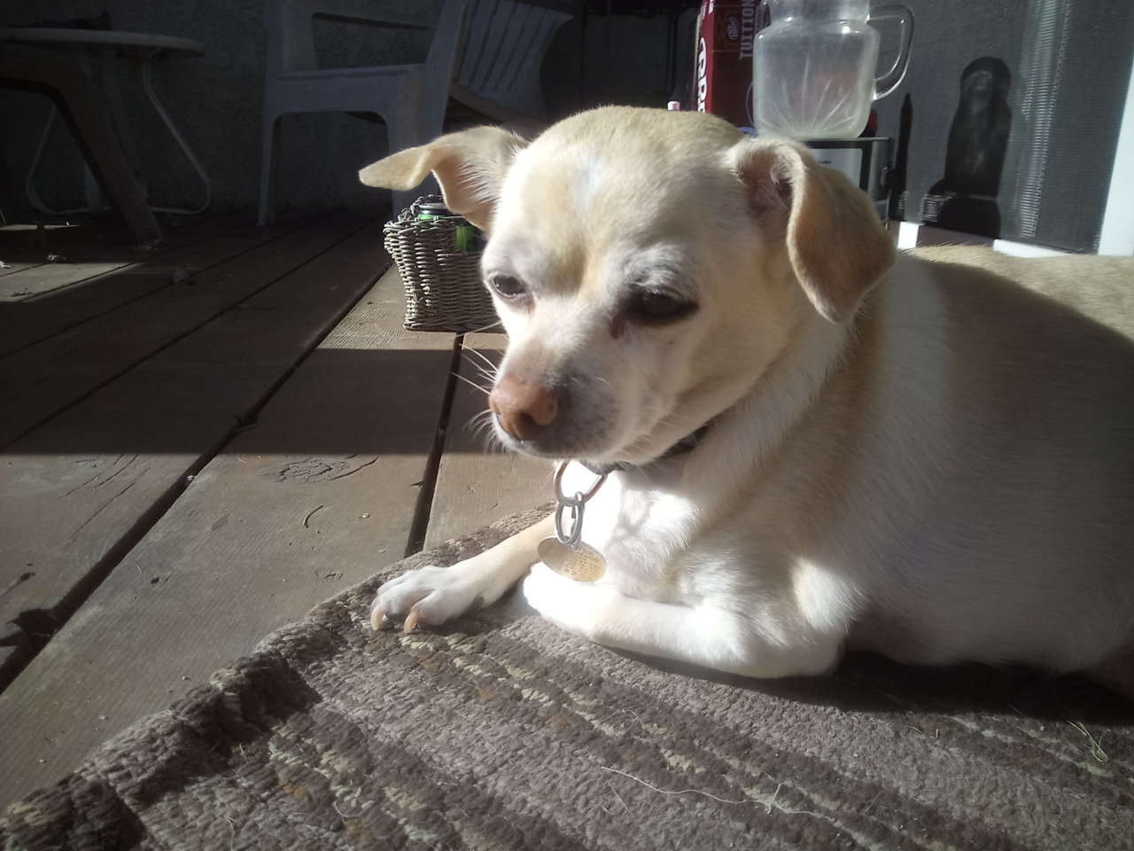IMG_20201209_134017.jpg