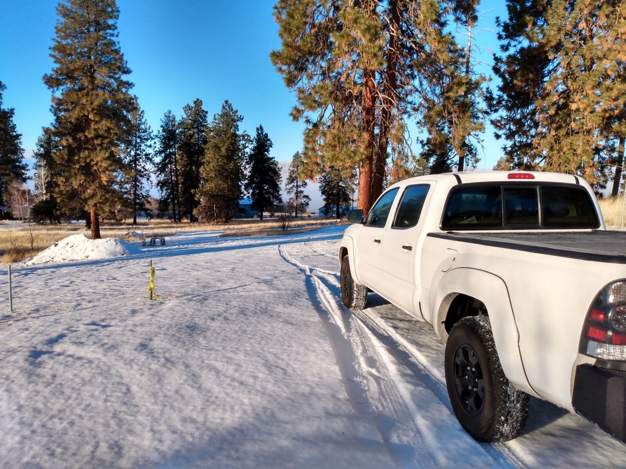 IMG_20201214_083020337_HDR.jpg
