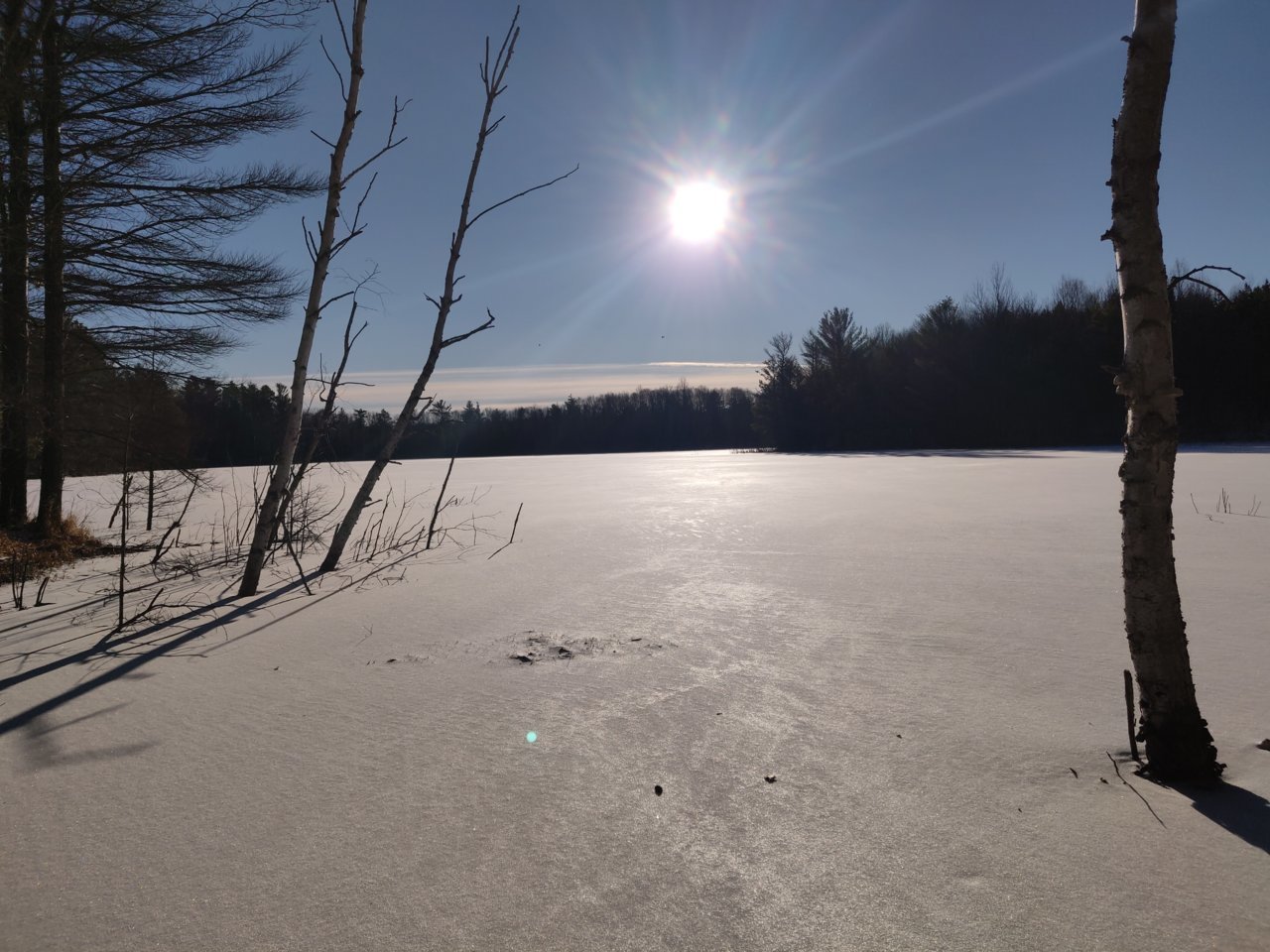 IMG_20201214_142306__01.jpg