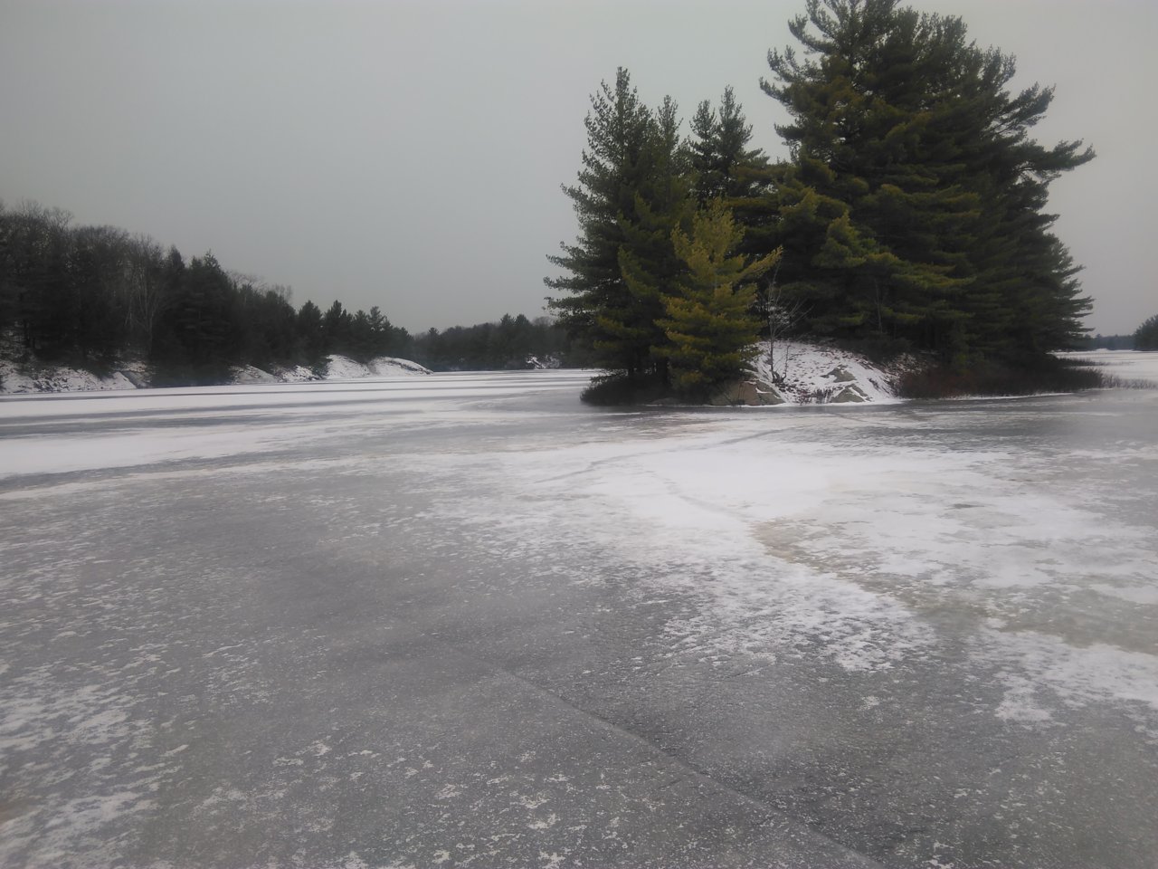 IMG_20201219_113109.jpg