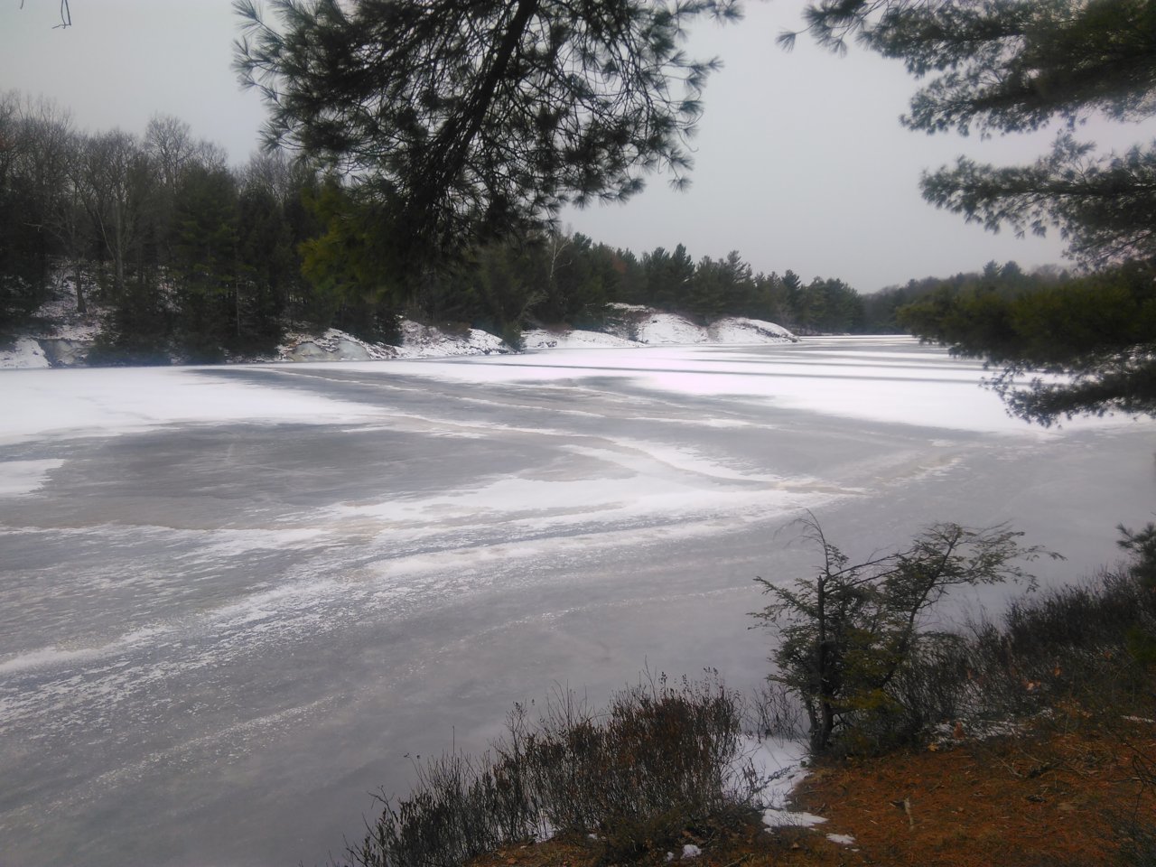 IMG_20201219_113353.jpg