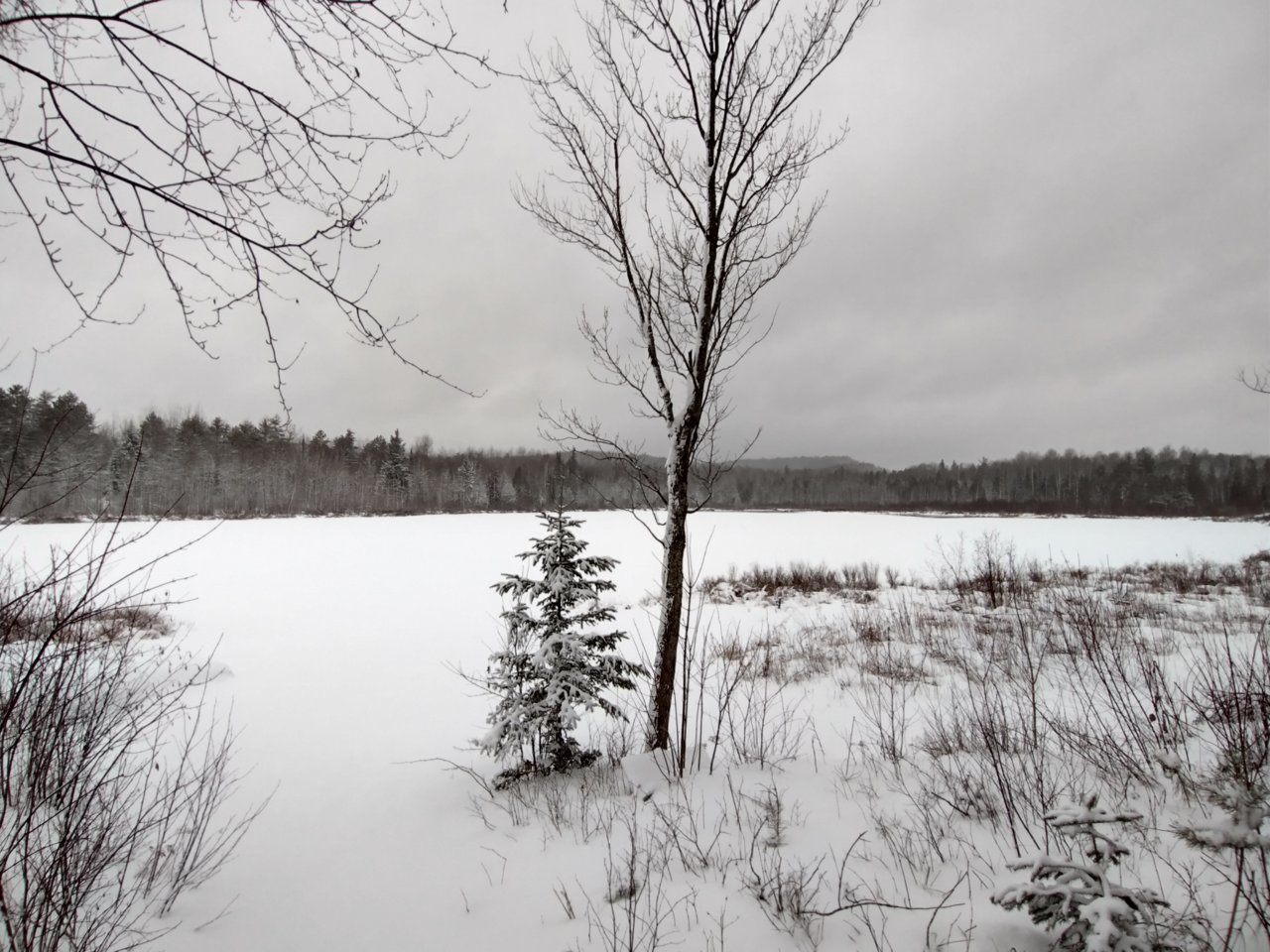 IMG_20201228_085437699_HDR.jpg