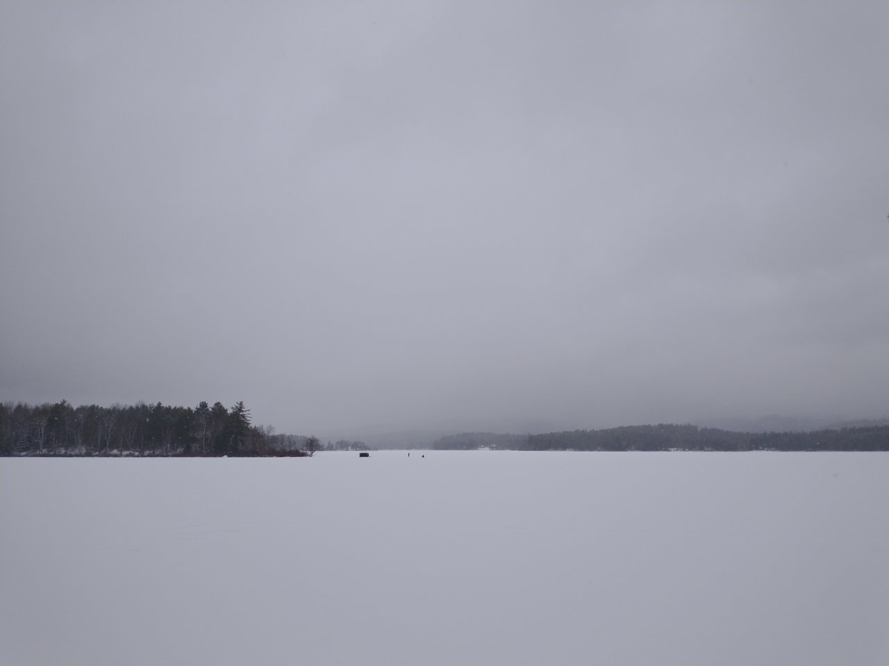 IMG_20201228_092614375.jpg