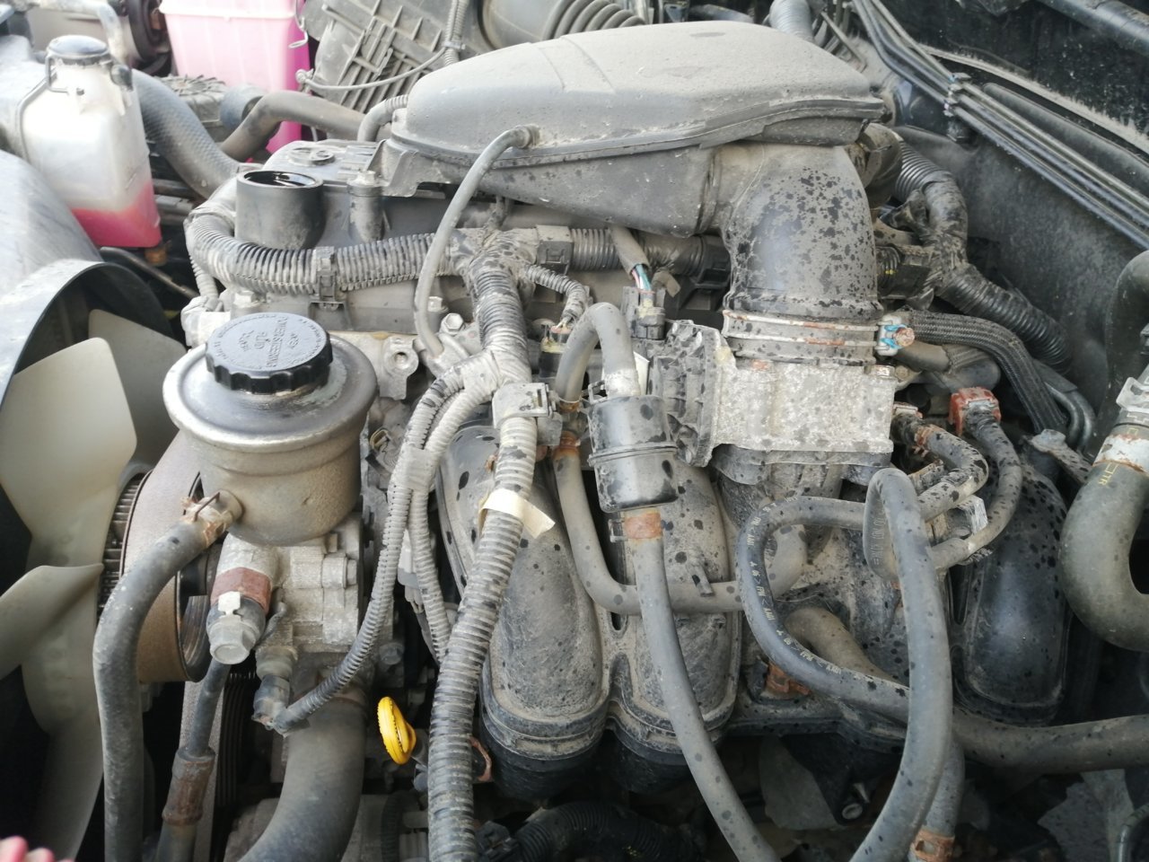 IMG_20201228_133925.jpg
