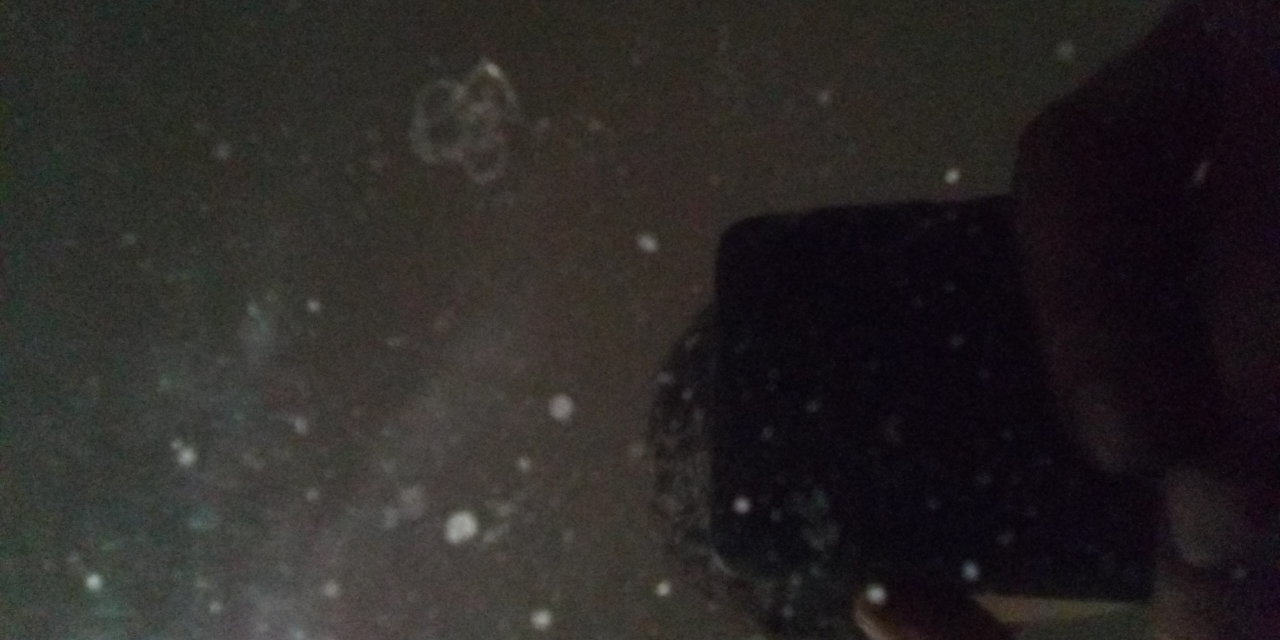 IMG_20201230_224241.jpg