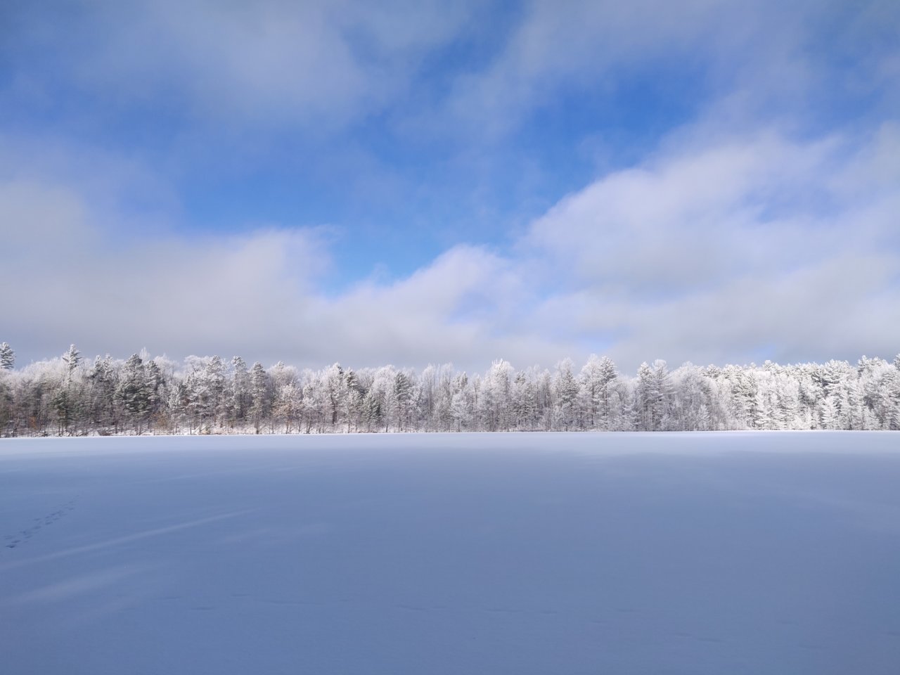 IMG_20210103_105915.jpg