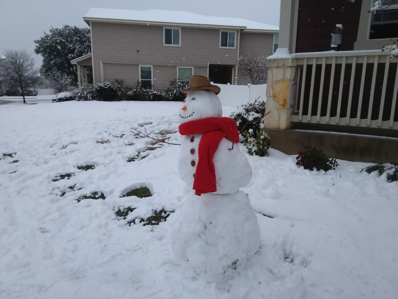 IMG_20210110_152054.jpg