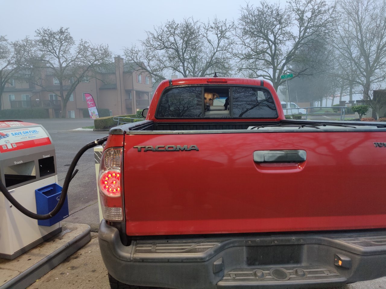 IMG_20210118_080114.jpg