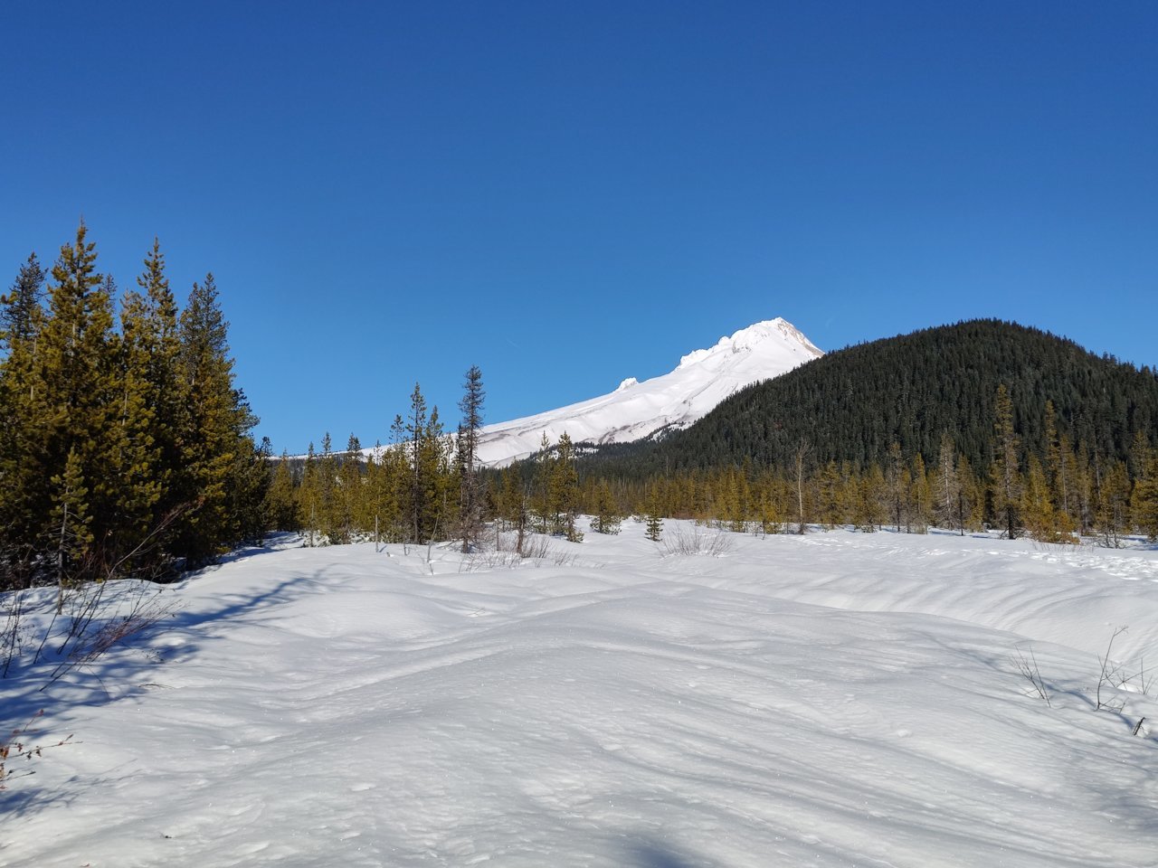 IMG_20210118_101938.jpg