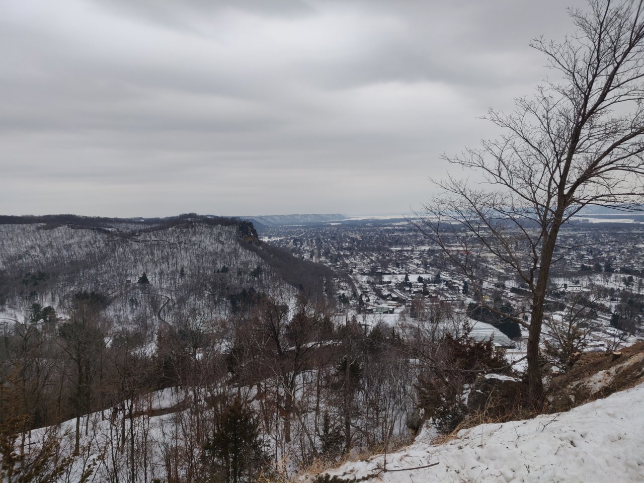 IMG_20210130_151517.jpg