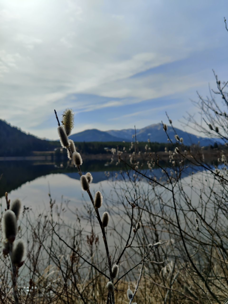 IMG_20210403_112313.jpg