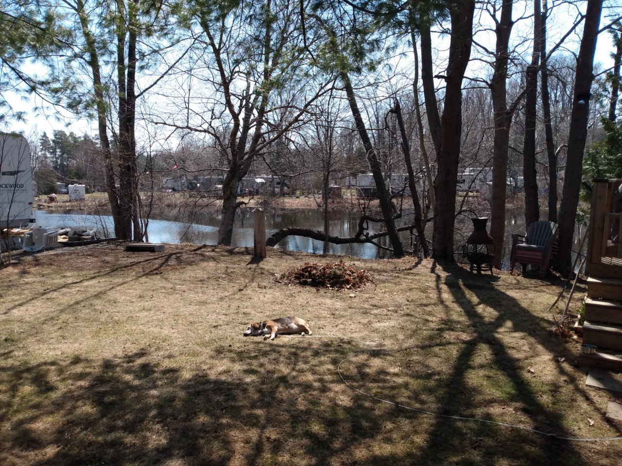 IMG_20210404_124313766.jpg