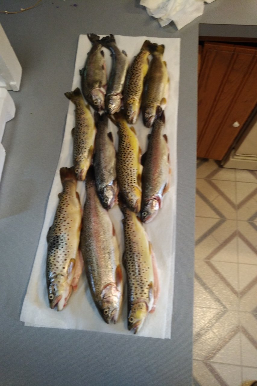 IMG_20210529_1504302.jpg