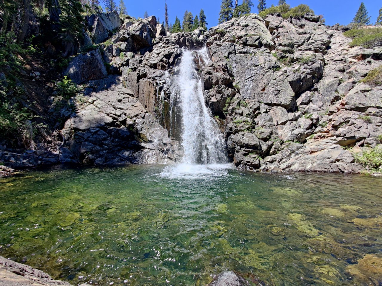IMG_20210604_115438.jpg