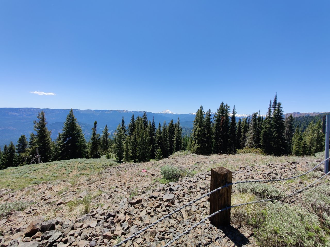 IMG_20210618_130554.jpg