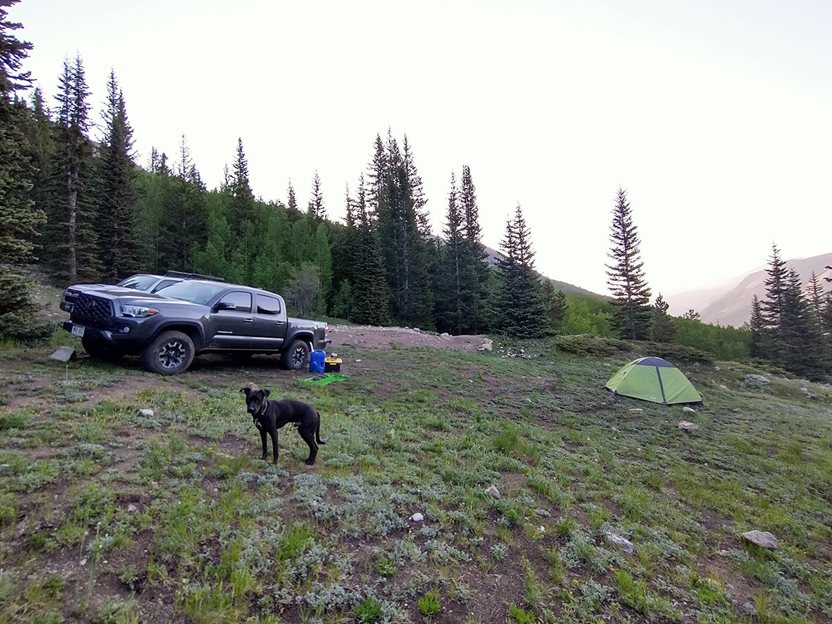 IMG_20210620_062132236_HDR.jpg