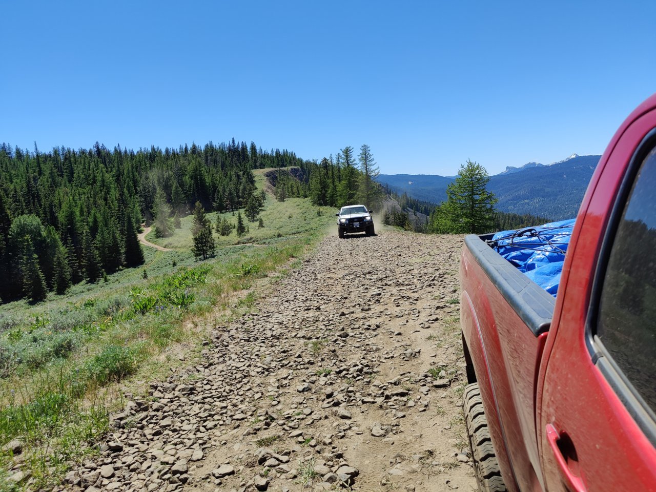 IMG_20210620_143217.jpg