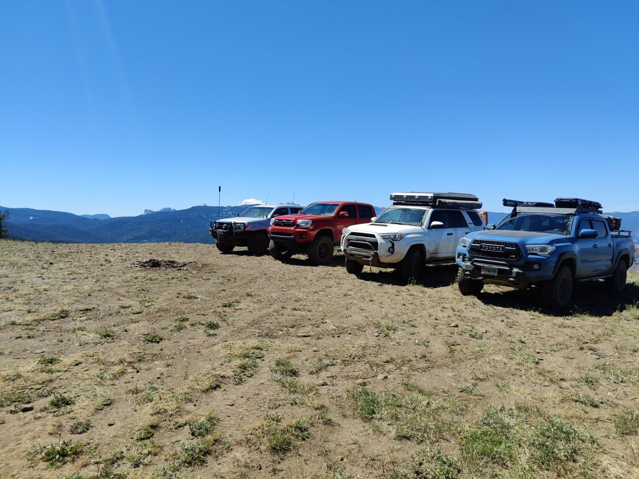 IMG_20210620_144309.jpg
