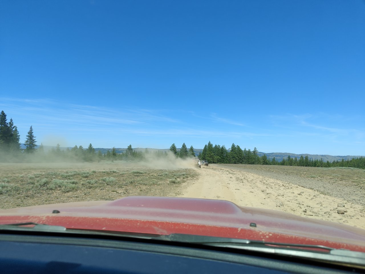 IMG_20210620_151227.jpg