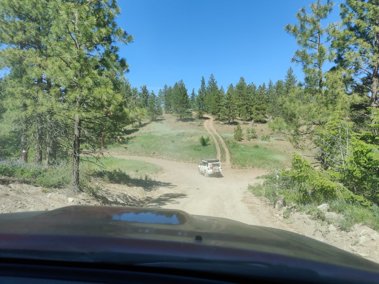 IMG_20210620_152639.jpg