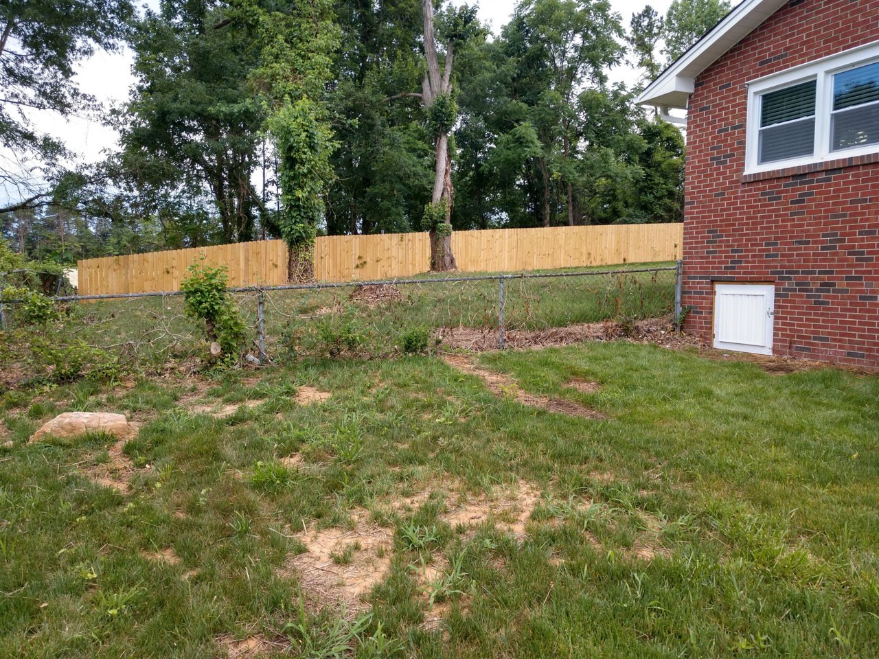 IMG_20210620_165455350_HDR.jpg