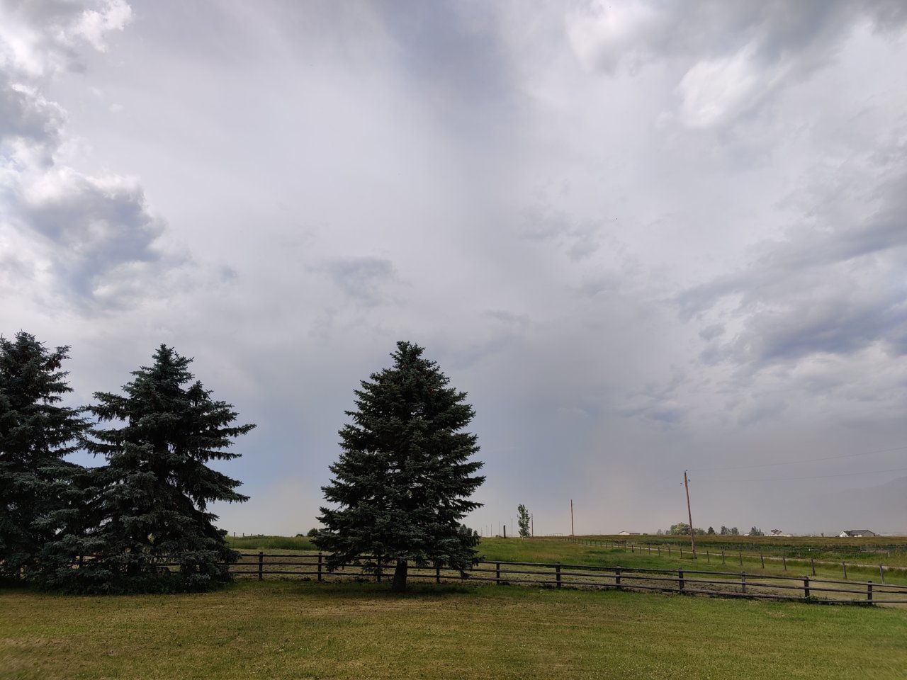 IMG_20210624_173508.jpg