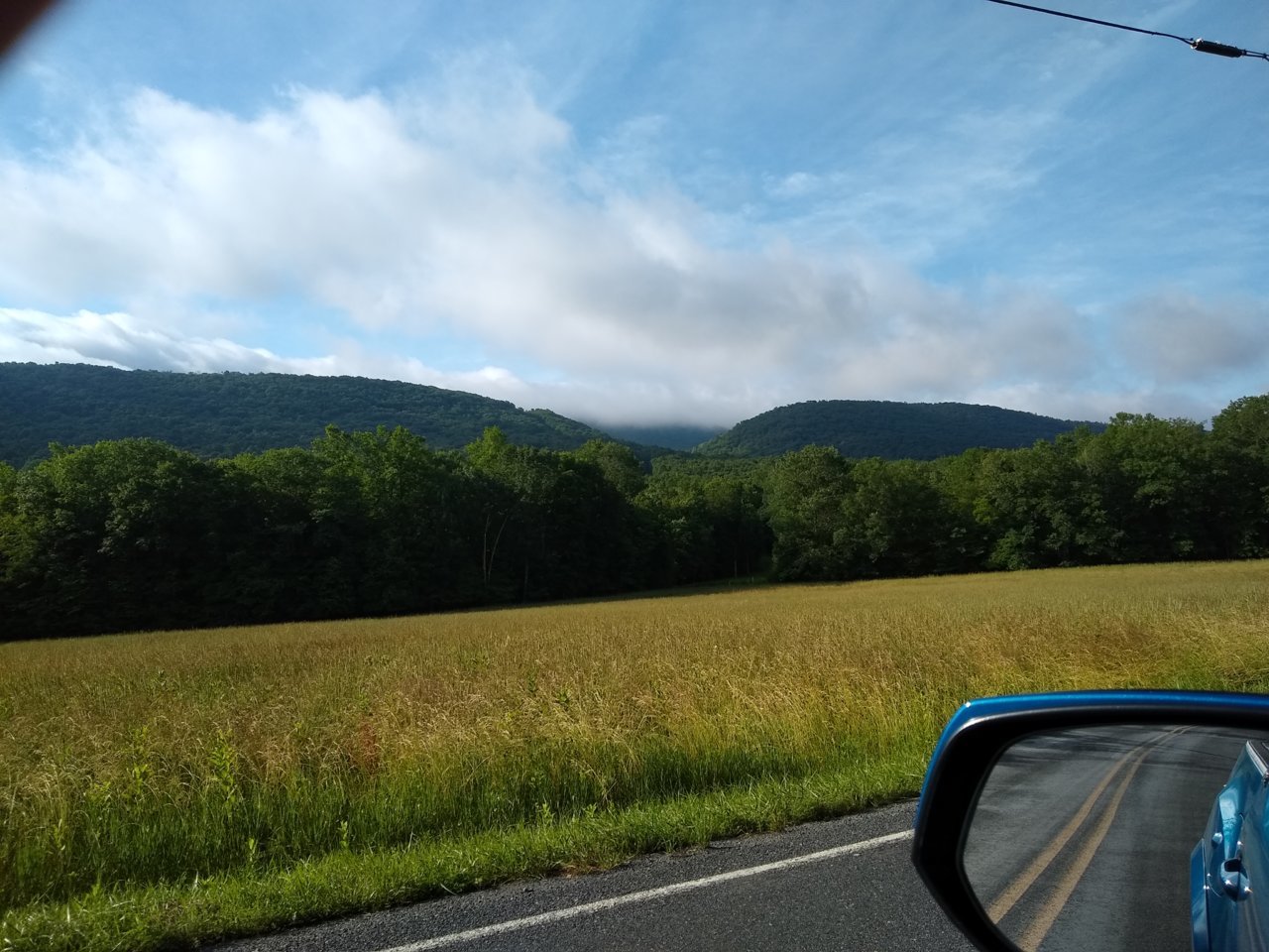 IMG_20210626_081427765[1].jpg