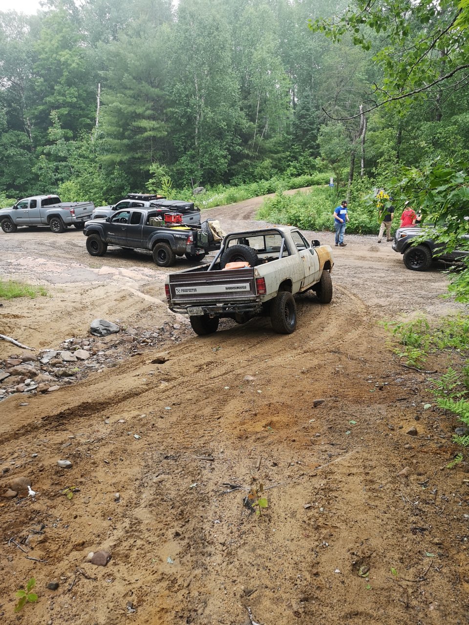 IMG_20210626_110509.jpg