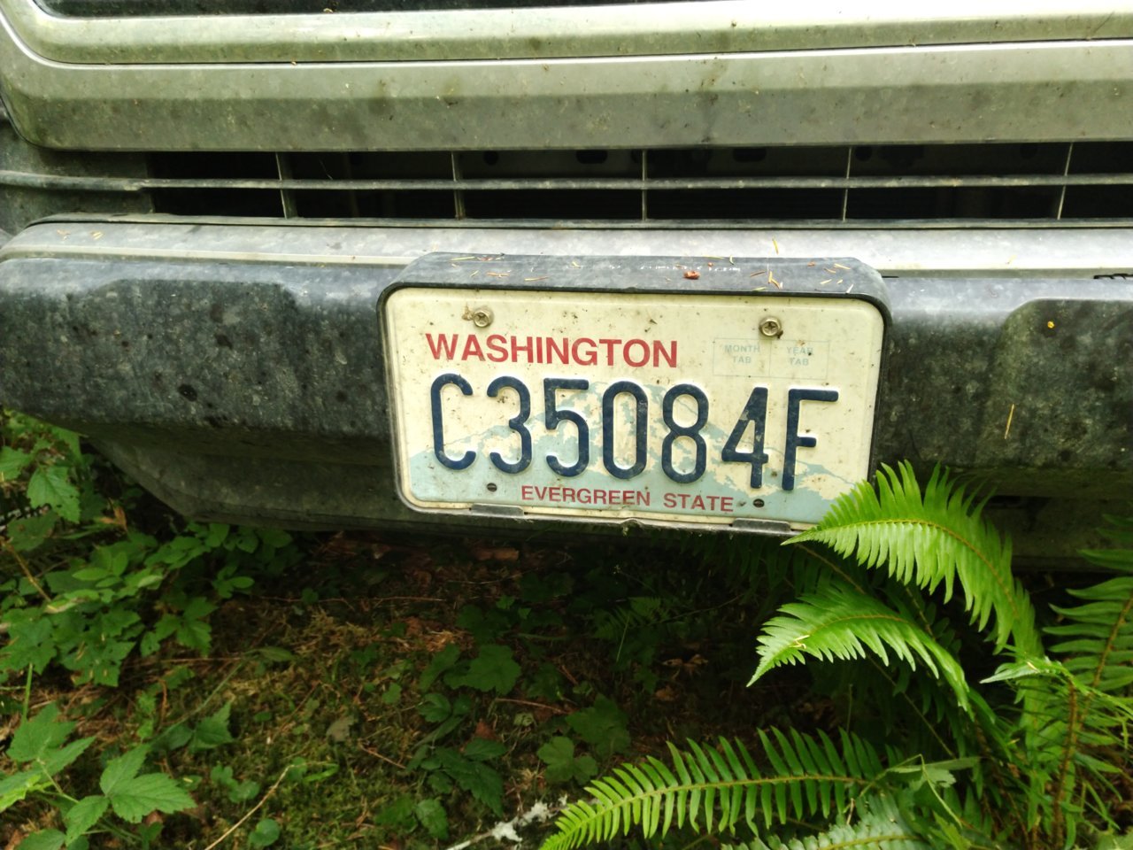 IMG_20210704_122149.jpg