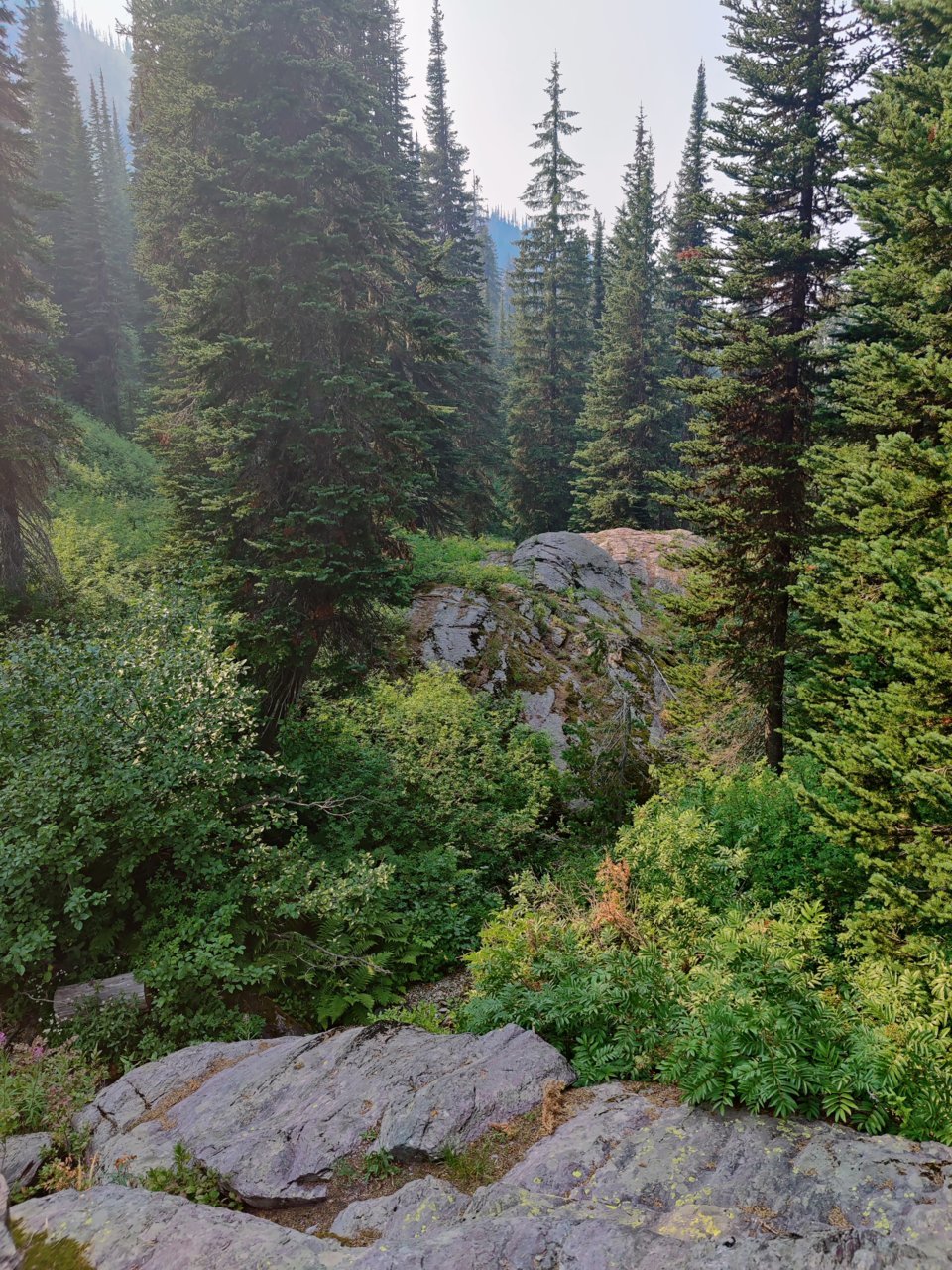 IMG_20210803_165312.jpg