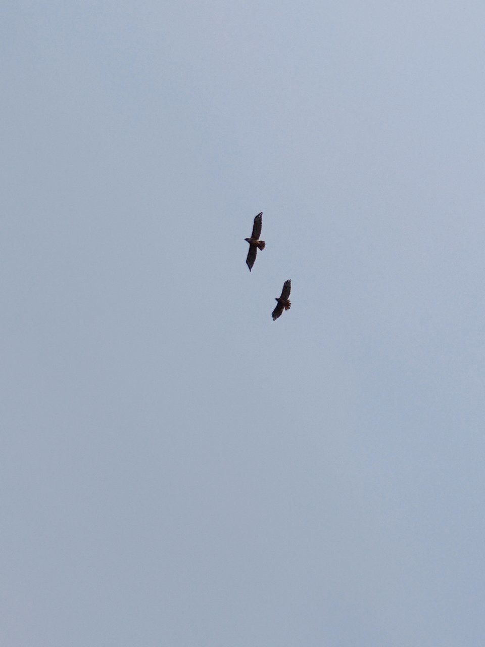 IMG_20210825_144831.jpg