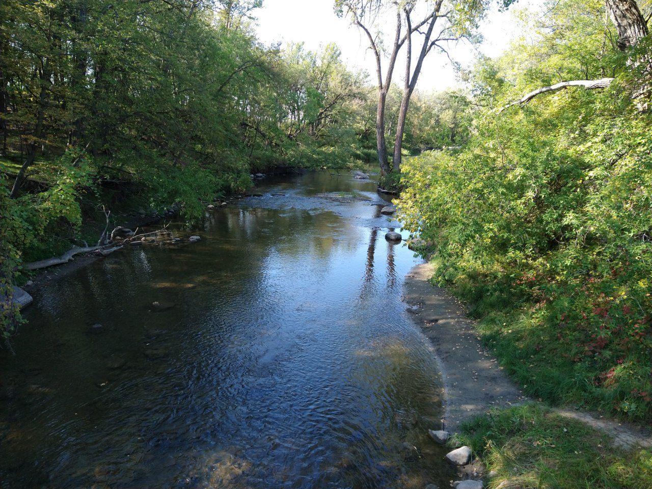 IMG_20210918_102834869.jpg