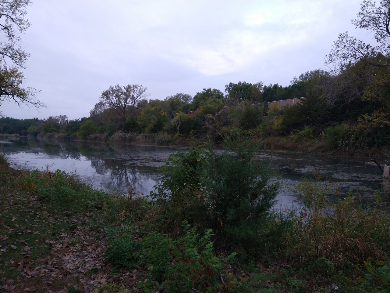 IMG_20211002_071833328.jpg