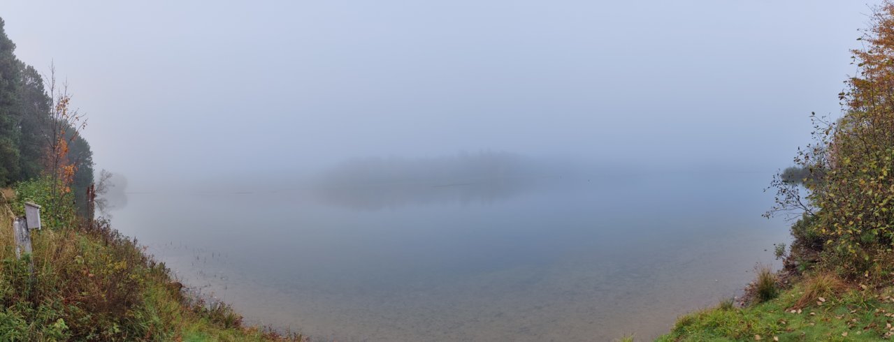 IMG_20211005_080010.jpg