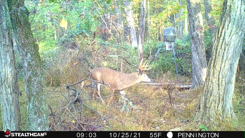 IMG_20211027_203034.jpg