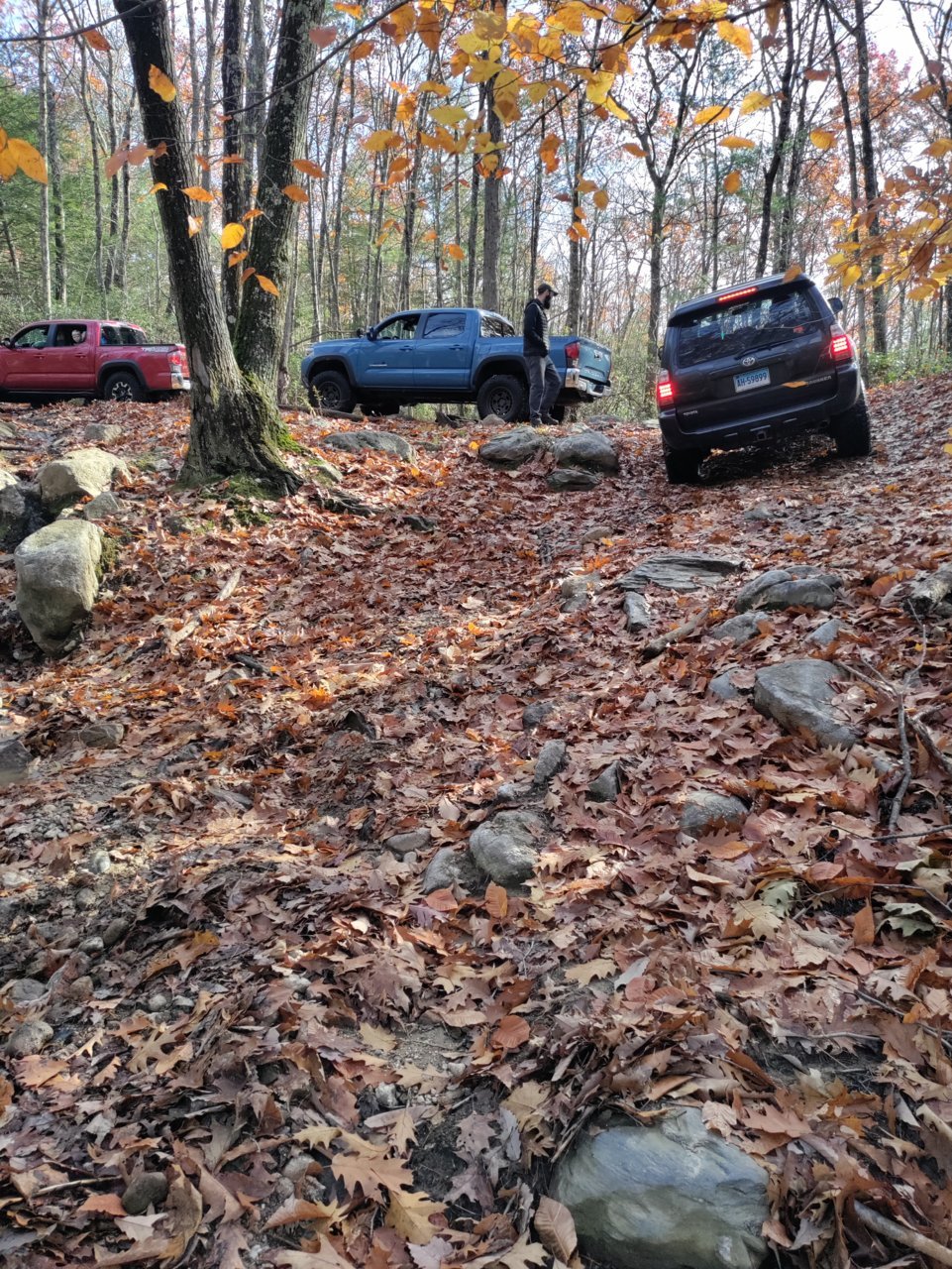 IMG_20211114_114039.jpg