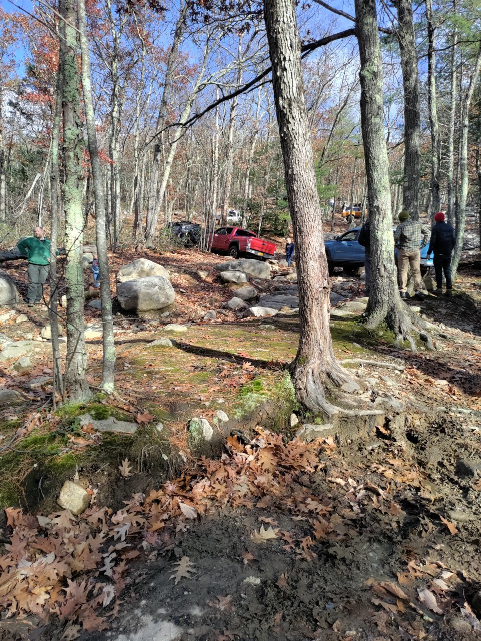 IMG_20211114_115526.jpg