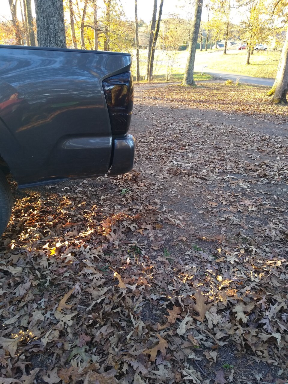IMG_20211114_161549858.jpg
