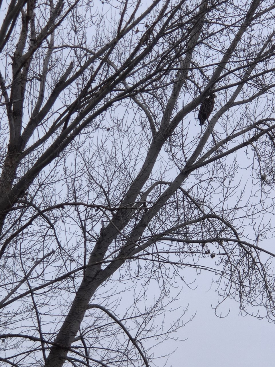 IMG_20211213_120913.jpg