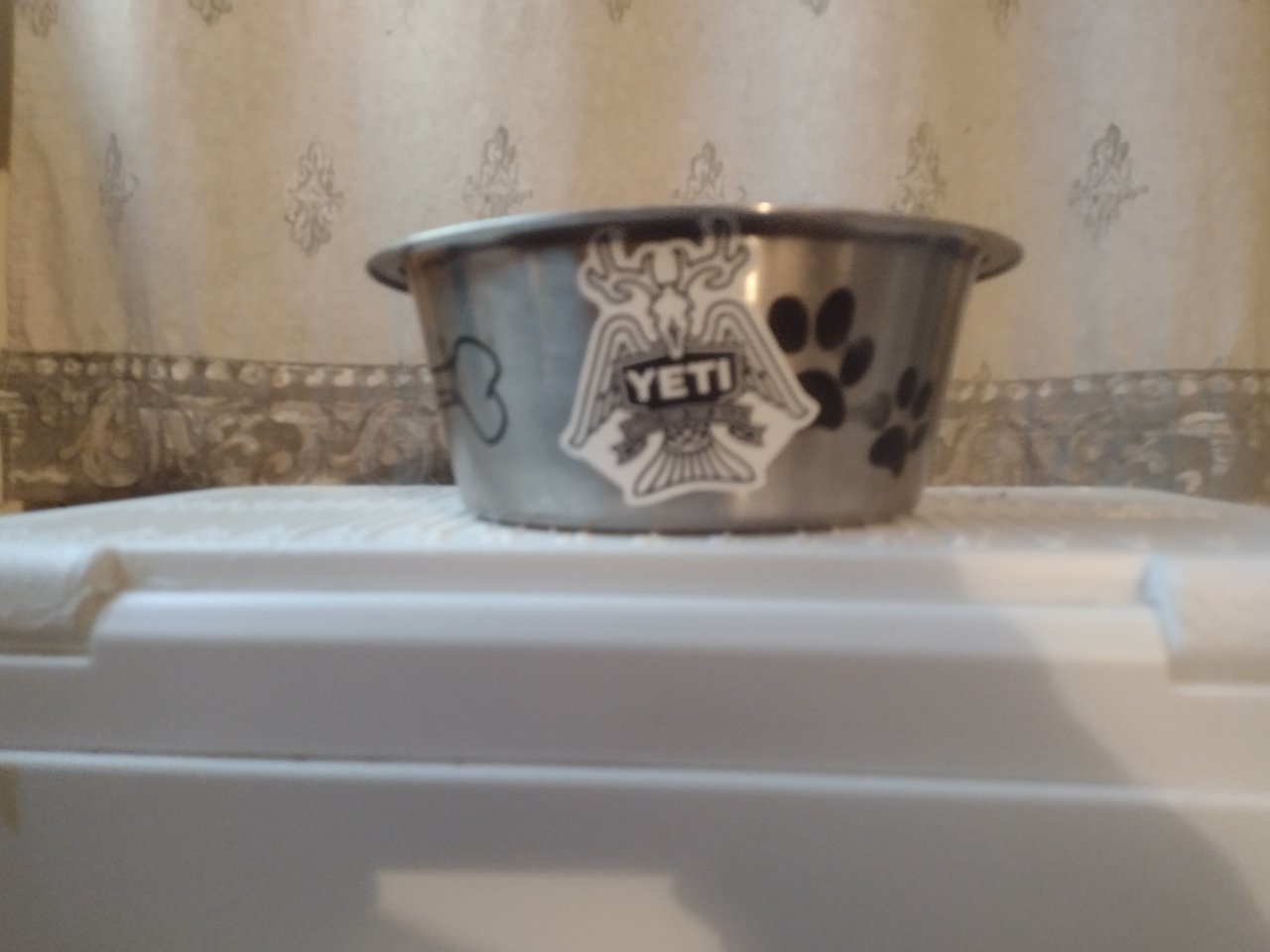 IMG_20211221_201151809.jpg